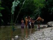 Brianna Banks Getting Nailed Outdoors In Threesome