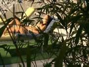 Danni Cole Gets Hard Drilled
2400