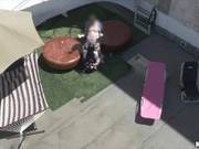 Raven Bay Fucked On The Roof Caught By Spy Cam