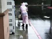 Rainy Day Special!