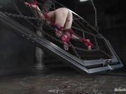 Tied Up Suspended And Nipples Clamped Mz Berlin Brutaly Sprayed With Water