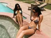 Jenaveve Jolie, Jayden Jaymes And Husband