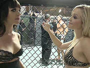 Ring Action With The Bootylicious Blonde Alexis Texas