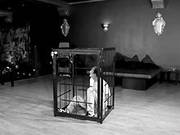 A Caged Slave Gets Strapon Anal Sex