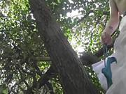 Beautiful Young Blonde Girl Fingers Herself In A Tree