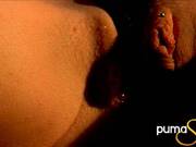 Jayden James And Puma Swede Body Licking