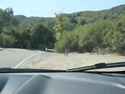 Sexy Hitchhiker - Aria Salazar