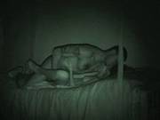 Mixed Skinny Girl Taking That Dick