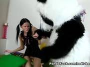 Passionate Panda Fuck With A Slim Teen With Long Pigtails And A Tight Pink Twat