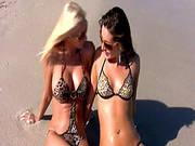 Naughty Lesbians Masturbating One Another