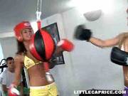 Little Caprice Is Boxer
900
