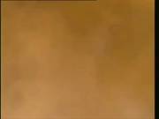 Kelly Trump Compilation
800