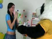 Cute Teen Gets The Panda Fuck For Her Bd