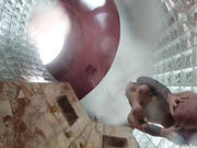 Christy Mack Takes A Hot Shower