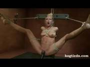 Hogtied Rain Degrey Gets Vibrated