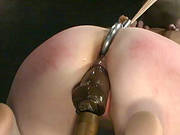Babe Gets Tight Up So That She Stand On Her Elbows And Knees Only