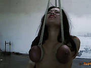 Tied Up Plump Brunette Dana Vixen Has To Know What Bdsm Is