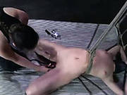 Wicked Bdsm Session On Poor Pale Skin Chick On The Bed