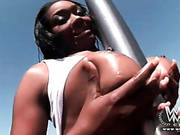 Black Pornstar Aryana Starr Sucks Bbc Outdoors