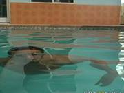 Tory Lane The Bargain Bin