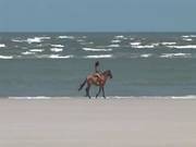 Alain Deloin Titof Druuna Diva Dp Beach Cochinadas
1922