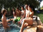 Pussy Pool Party