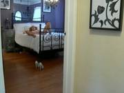 Lexi Belle Alone On Her Room Lie Down On Bed