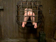 Mz Berlin Playing With Andy San Dimas And Another Girl In Femdom Vid